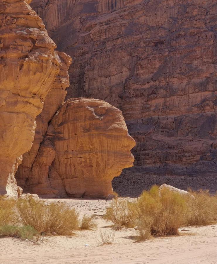 Amanda Luxury Camp Hotel Wadi Rum Luaran gambar